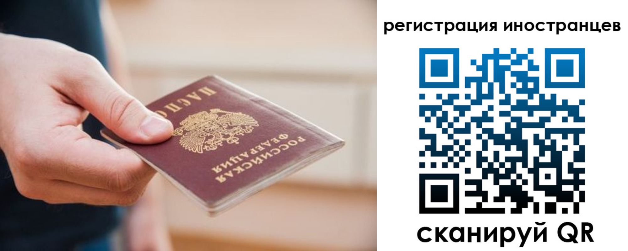 прописка гарантия в Клине